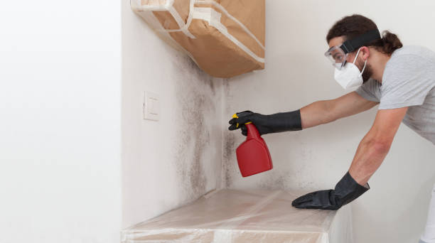 Professional Bathroom Mold Removal technician working in Unionville, PA