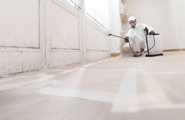24/7 Emergency Bathroom Mold Removal experts in Unionville, PA