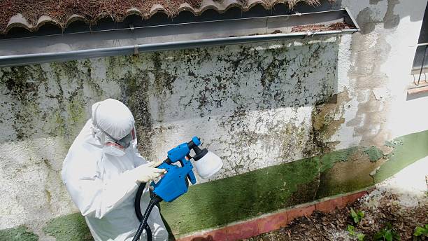 Top rated local Bathroom Mold Removal specialists in Unionville, PA